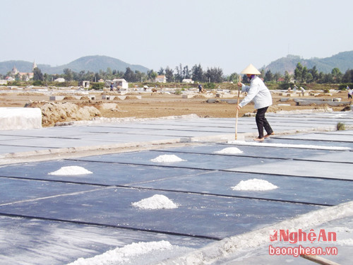 Toàn xã An Hòa có 145 ha diện tích sản xuất muối, tập trung ở các thôn Hồng Phong, Tân An, Nam Tiến, Tân Thịnh.. Nghề làm muối chiếm 50% tổng số lao động toàn xã và là nghề truyền thống của địa phương.