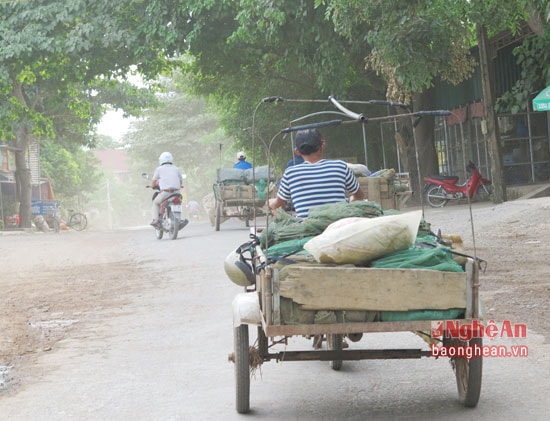 Từng chiếc xe kéo chất đầy lồng bát quái đi thả lưới