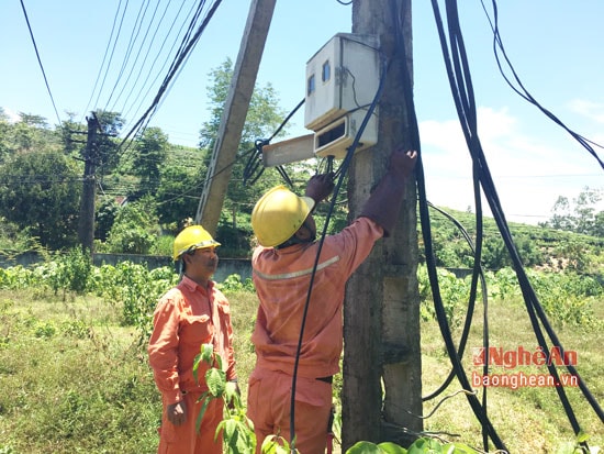 Nhân viên Điện lực Anh Sơn bảo dưỡng lưới điện hạ thế tại xã Long Sơn.