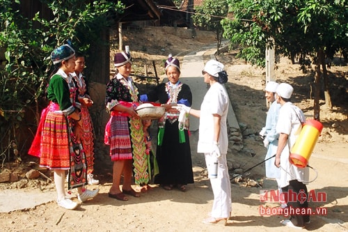 6 thángđầu năm 2016, công tác phòng chống dịch bệnh được tập trung thực hiện. Trên địa bàn toàn tỉnh không có dịch bệnh lớn xảy ra.