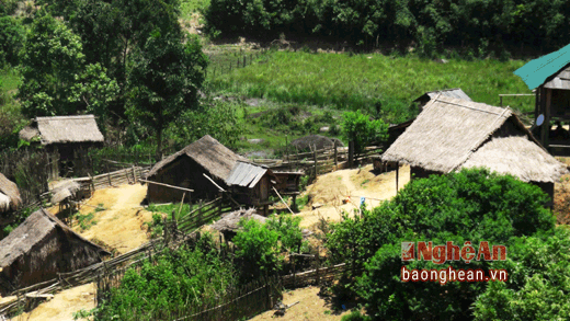 Có những điểm xâm canh, đồng bào Mông bản Mường Lống đã dựng lều, lán như bản làng (ảnh chụp tại khu vực rừng phòng hộ, thuộc tiểu khu 104, trong ngày 15/6/2016).