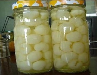 nhung-mon-an-ngan-ngua-va-dieu-trixuat-tinh-som-3