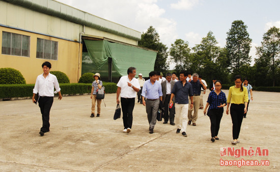 Tiếp đó, đoàn tới thăm Nhà máy chế biến dứa xuất khẩu của Công ty cổ phần thực phẩm Nghệ An tại xã Quỳnh Châu, Quỳnh Lưu.