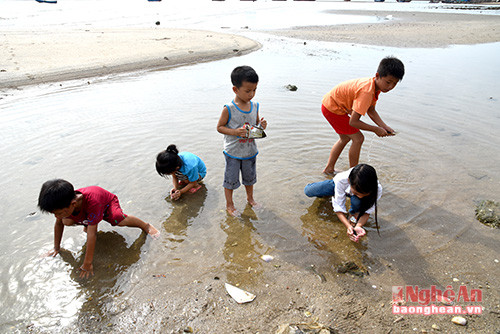 Sân chơi của trẻ em Tiến Thụy - Quỳnh Lưu  là những bãi cát khi nước thủy triều xuống