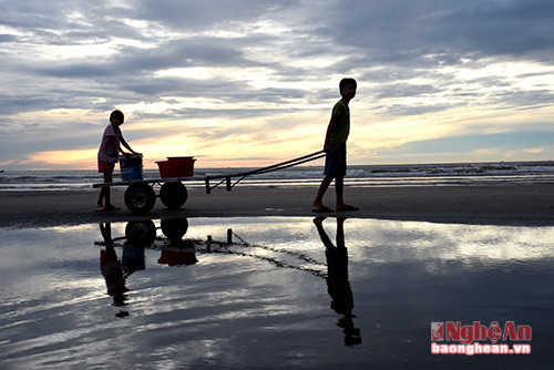 Lấy nước biển về nuôi hải sản, giúp bố mẹ trong ngày hè