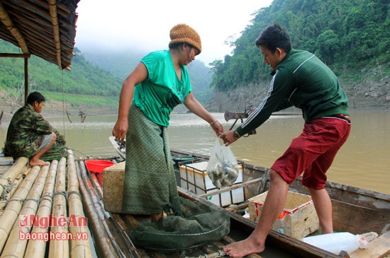 Trên địa bàn xã Mỹ Lý hiện nay có hàng trăm người dân, chủ yếu là đồng bào dân tộc Thái đang làm nghề đánh cá đêm, cũng như có hàng chục chiếc thuyền làm nghề thu gom cá. Những con cá sông tươi sạch là đặc sản của miền Tây xứ Nghệ.