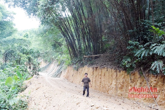 Con đường mới mở vào 