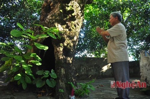 Theo ông Phùng Bá Điểm