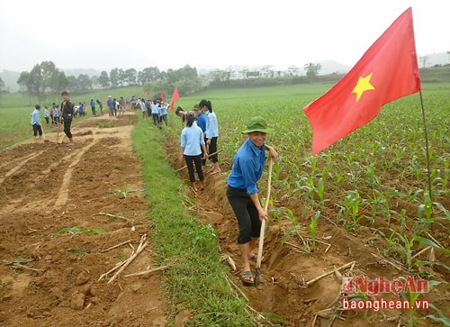 Đảng viên Vi Thị Hiền ở bản Khe Trằng Thượng xã Thọ Sơn luôn đi đầu trong phát triển kinh tế. hiện nay gia đình chị chăn nuôi 4 con trâu bò sinh sản, gà thả vườn và trồng 5 sào mía nguyên liệu.