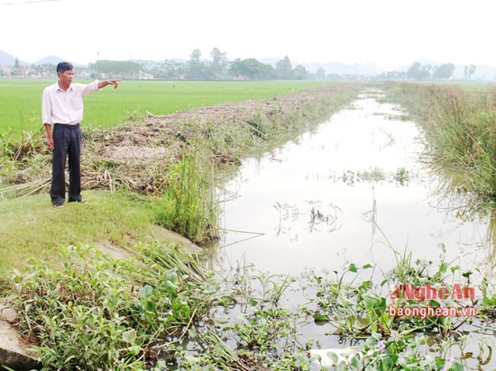 Xã Quỳnh Hoa huy động máy móc , con người nạo vét một số tuyến kênh đẻ đảm bảo tiêu nước tạm thời.