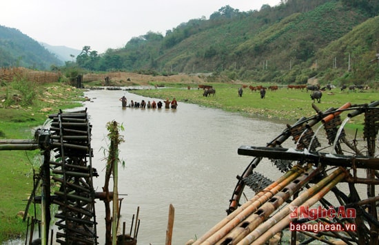 Cuộc sống thường nhật trên dòng Hội Nguyên ngày nay