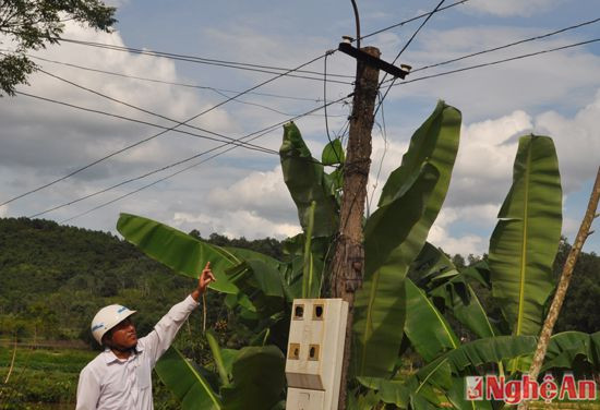 ĐƯờng dây điện kém chất lượng ở Đông Sơn, Đô Lương, ảnh minh họa, Quỳnh Lan