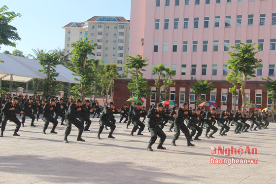 Các lực lượng biểu diễn võ thuật.