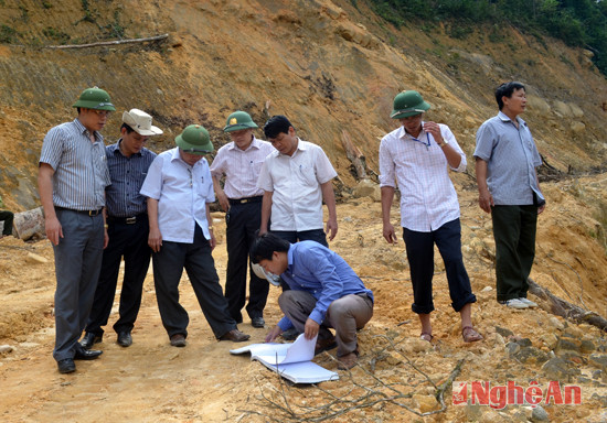 Kiểm tra dấu hiệu vi phạm trong khai thác gỗ tại vùng rừng đặc dụng Pù Hoạt (xã Hạnh Dịch, huyện Quế Phong). Ảnh: Nhật Lân