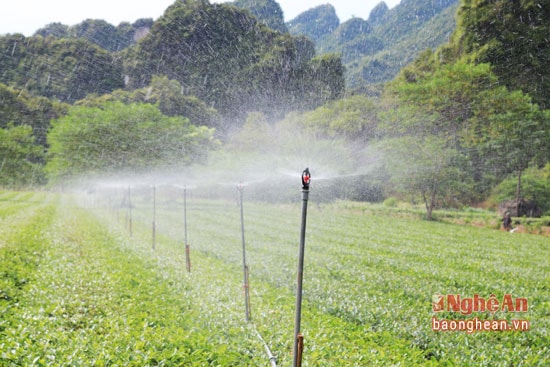 Cùng với việc khoan giếng ông Hồng Ngọc Khuyên còn đầu tư hệ thống béc di động. Hệ thống này có thể di chuyện những nơi mình cần tưới. Mỗi một hệ thống này có giá khoảng 20 triệu đồng