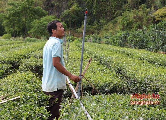 Công việc vận hành cũng khá đơn giản và dễ dàng