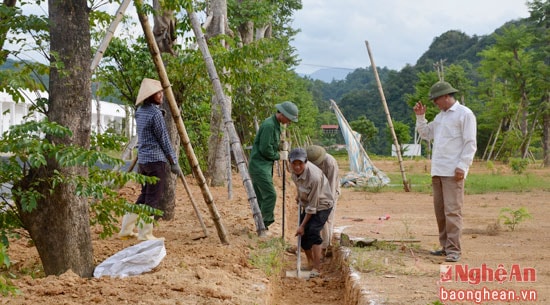 ban giám đốc công ty quan tâm đầu tư hệ thống cây xanh, bài trí phong cảnh đảm bảo cảnh quan môi trường sinh thái trng khu sản xuất