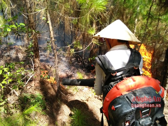 Vụ cháy 