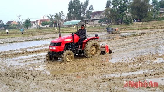 Cơ giới hóa sau dồn điển đổi thửa ở Hưng Thắng, Hưng Nguyên. Ảnh Phú Hương.