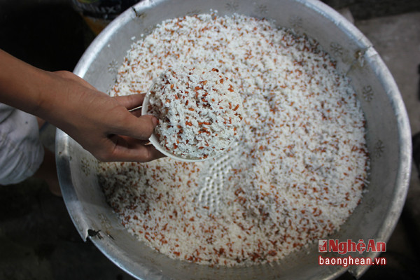 Trộn lẫn với những hạt gạo thường trắng tinh.