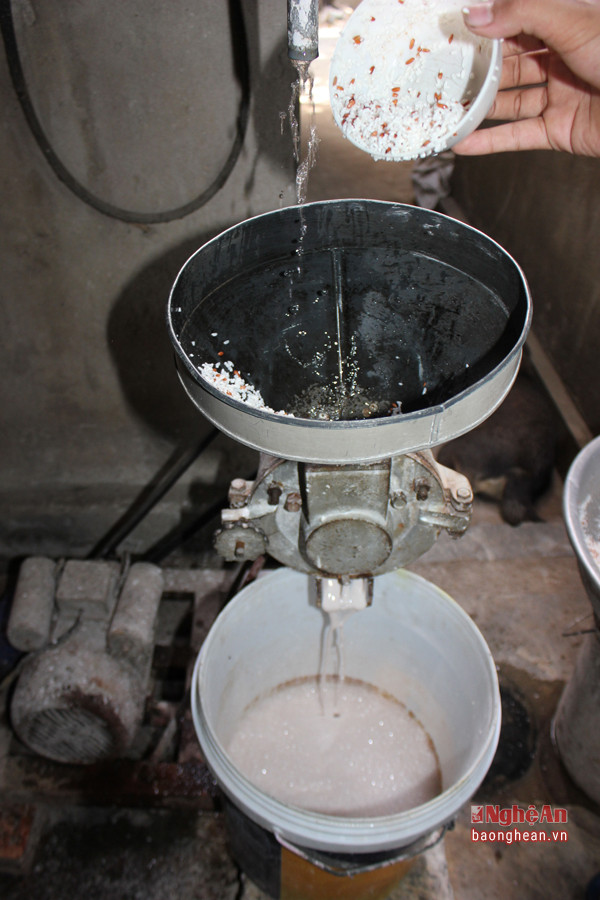 Gạo Luốc dâu trộn với gạo trắng, sau khi đã ngâm trong nước lạnh tầm vài tiếng, sẽ được đưa vào máy xay bột nước