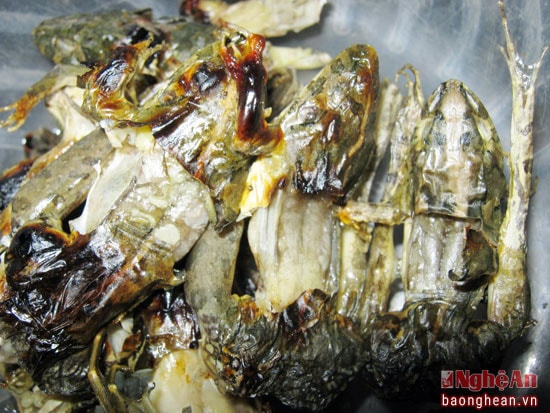 Sau khi nướng một thời gian ngắn thì nhái bắt đầu chuyển sang màu vàng, có vị béo ngậy, thơm giòn và hấp dẫn.
