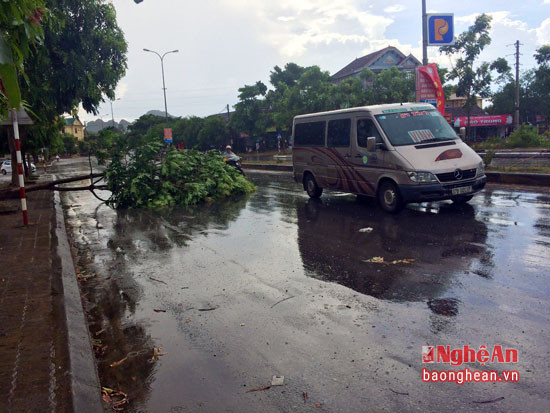 Trận mưa lớn kèm theo lốc xoáy làm cây cối trên quốc lộ 7 đoạn qua thị trấn Anh Sơn gãy đổ ngổn ngang.