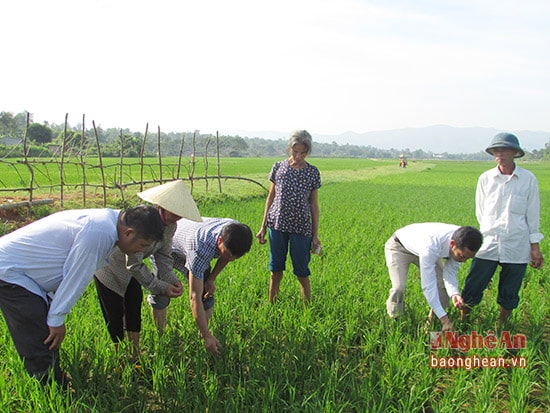 Ra đồng kiểm tra cùng bà con