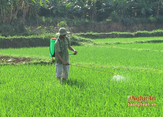 Nông dân Nghĩa Long tiến hành phun thuốc phòng trừ sâu bệnh