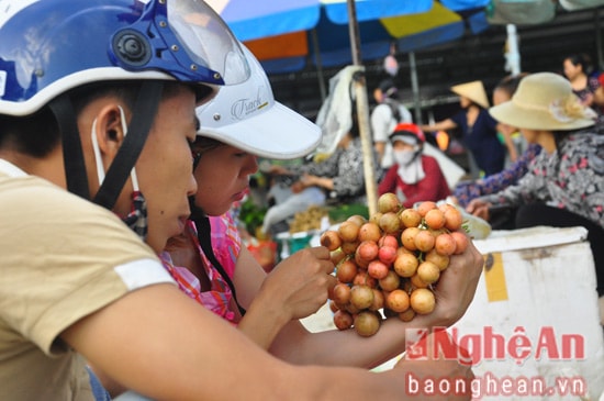 Một đôi bạn trẻ đang lựa mua những chùm dâu da rừng, loài quả chua dịu làm giảm cơn khát khi nắng nhiều