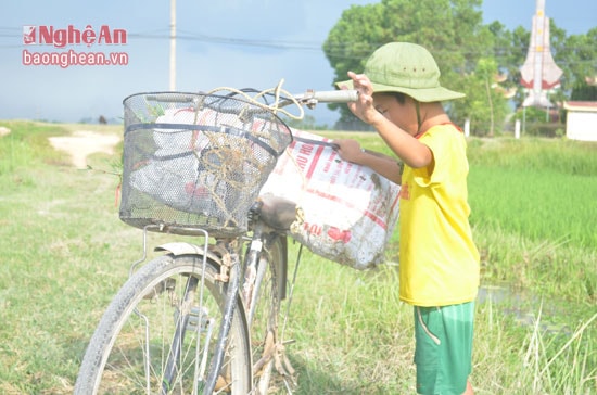 Cậu bé này người còn thấp hơn cả chiếc xe đạp nhưng ngày nào cũng đều đặn đạp xe đi cắt cỏ khắp cánh đồng.