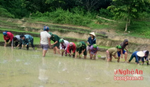 Đoàn viên thanh niên địa phương và đòn biên phòng 