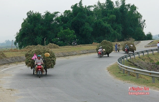 Người dân mong muốn lắp thêm các biển báo cảnh báo tại các vị trí tiềm ẩn TNGT trên đường ven Sông Lam