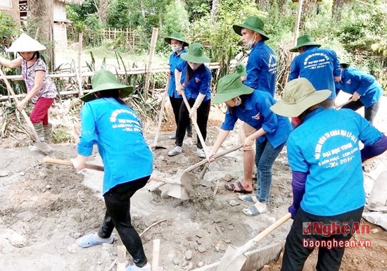 :  Đội sinh viên tình nguyện trường Đại học Vinh tham gia đổ bê tông đường giao thông nông thôn tại xã Đôn Phục.