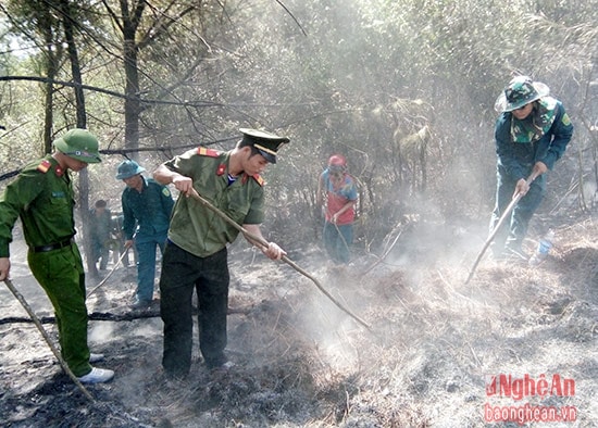 Các lực lượng tham gia chữa cháy rừng tại xã Diễn Phú, Diễn Châu. Ảnh: Hồng Hạnh, Đài Diễn Châu