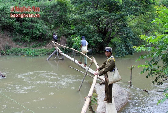 Muốn tìm thấy tổ mật ong không phải có kinh nghiệm tìm con ong thợ, nhìn hướng bay và đi theo con ong về tổ.