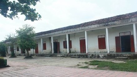 Trường tiểu học Diễn Quảng ( Diễn Châu), ảnh internet