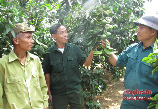 CCB Nguyễn Văn Lệ luôn giúp đỡ hội viên phát triển kinh tế.