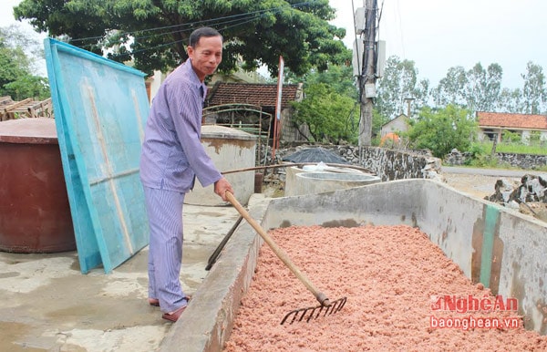 Ruốc được rửa sạch, đưa vào bể xi măng để muối làm mắm tôm, nước mắm.