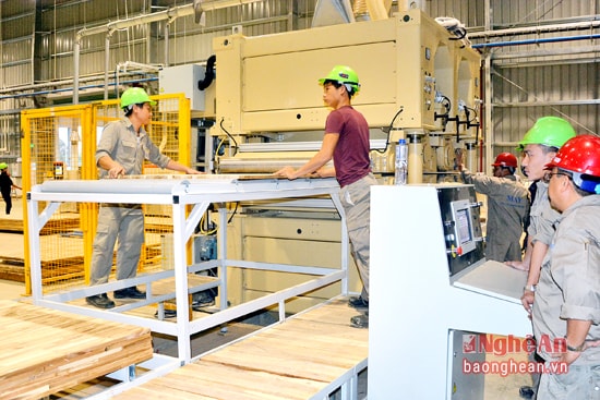 Vận hành máy đánh bóng của dây chuyền gỗ ván thanh.