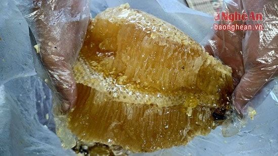 Extracting the honey from the combs also requires craftsmanship and carefulness.