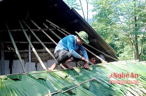 Hỗ trợ các hộ dân 