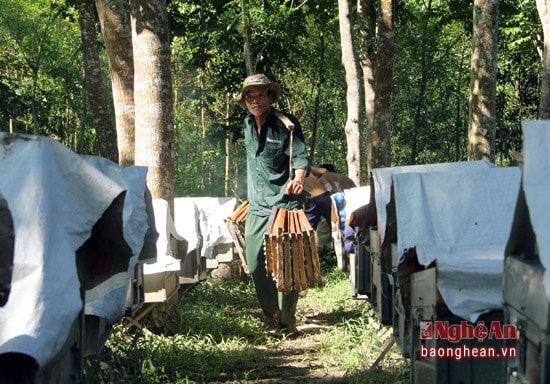 Dẫu vậy thì với họ đó lại là những niềm đam mê của những người trẻ thích cuộc sống nay đây mai đó. Một bạn trẻ 9x có thể tỉ tể cả ngày về kỹ thuật nuôi ong và những điều thú vị khi đến môt miền đất lạ