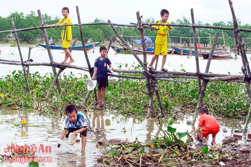 Trẻ em làng chài Hòa Lam, ảnh minh họa