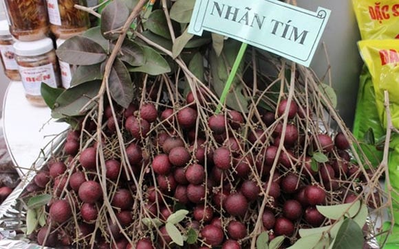 Tuy nhiên, giống nhãn tím chỉ thực sự được biết đến rộng rãi vào giữa năm 2012, khi ông Huy đưa ra mắt tại