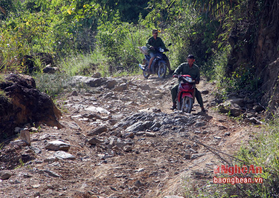 Sau đó những bao tải quặng lại được chở xuống núi trên con đường đèo dốc hiểm trở  bằng xe gắn máy.