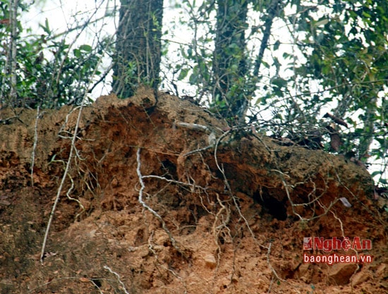 Hiện trường nhiều 