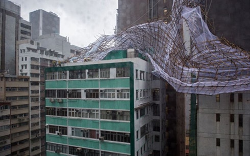 bao nida do bo, hong kong dong cua thi truong chung khoan hinh 0