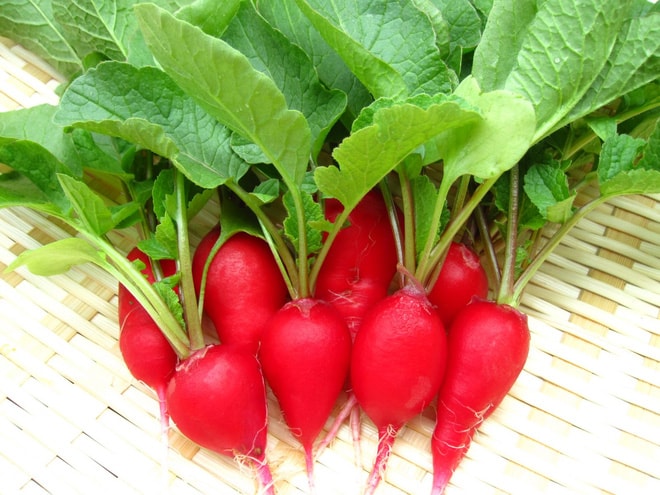 5 thần dược giá bình dân mà bổ như nhân sâm - Ảnh 4.