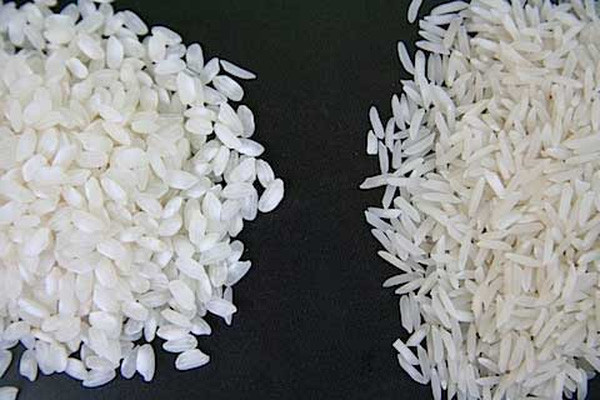 Sự khác biệt giữa gạo Nhật (bên trái) và gạo thường. (Ảnh: ohmylife)